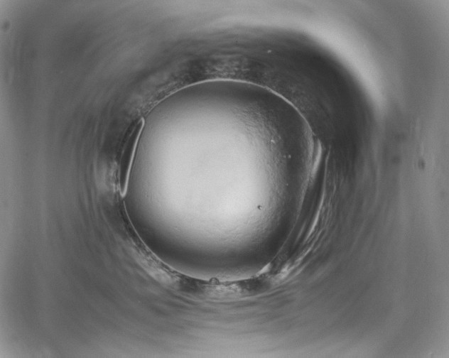 X0000061740525200512021445