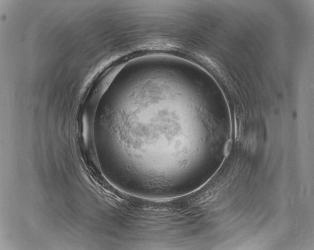 X0000061740531200512021444