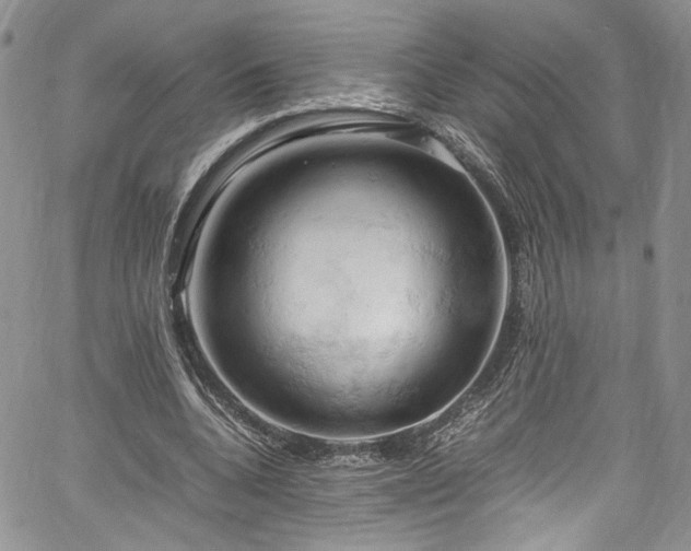 X0000061740536200512021444