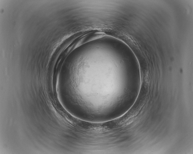 X0000061740540200512021444