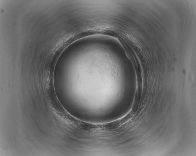X0000061740544200512021444