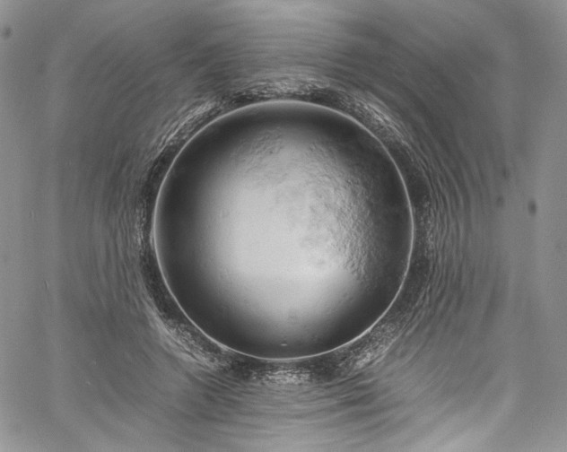 X0000061740546200512021445