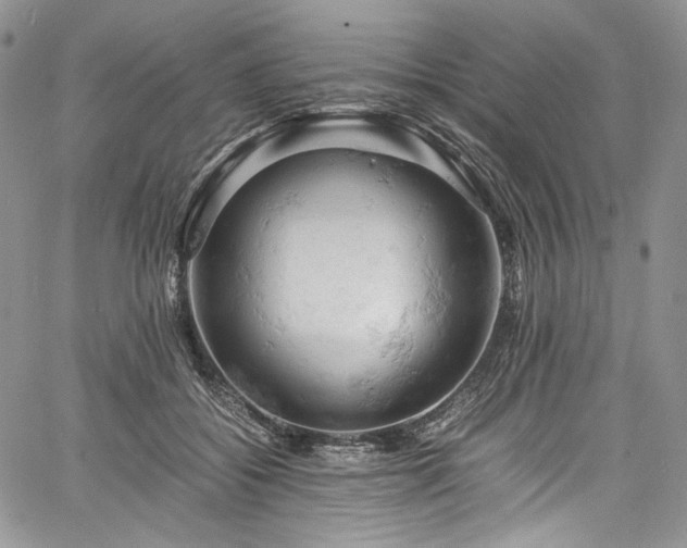 X0000061740556200512021445