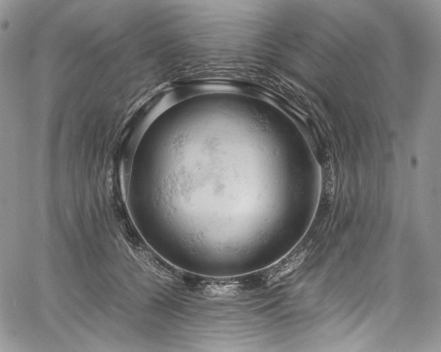 X0000061740560200512021445