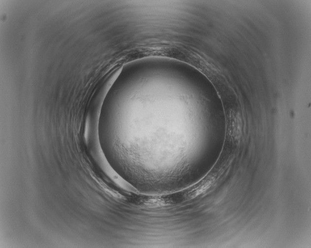 X0000061740562200512021445