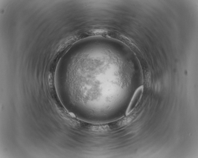 X0000061740571200512021445