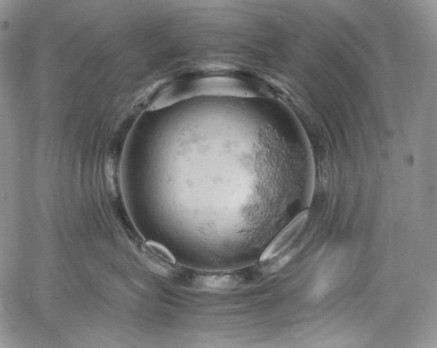 X0000061740575200512021445