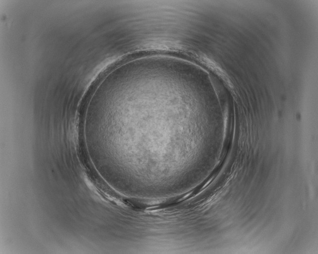 X0000061740580200512021444