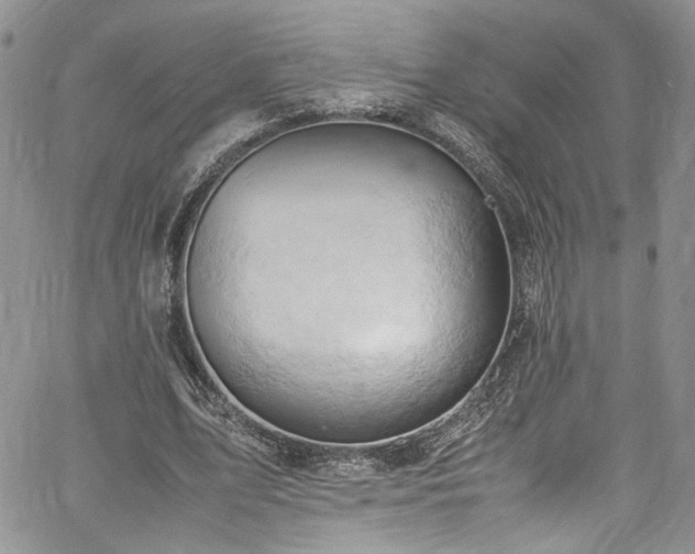 X0000061740583200512021444