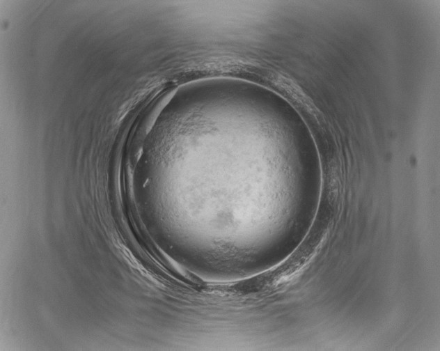 X0000061740585200512021444