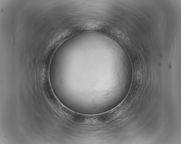 X0000061740591200512021444