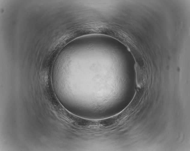 X0000061740595200512021444