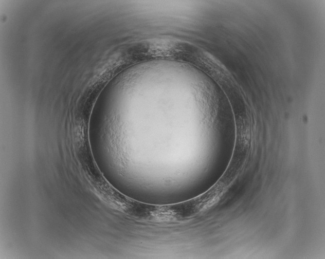 X0000061740603200512021444