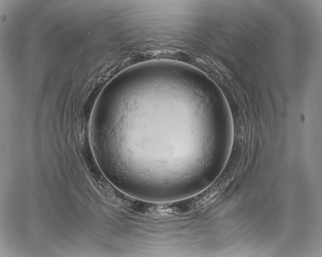 X0000061740607200512021444
