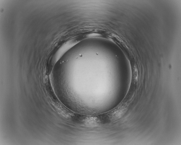 X0000061740609200512021444