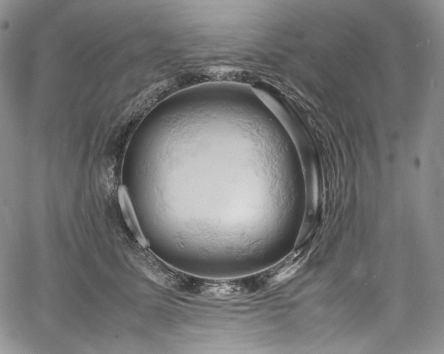 X0000061740611200512021444