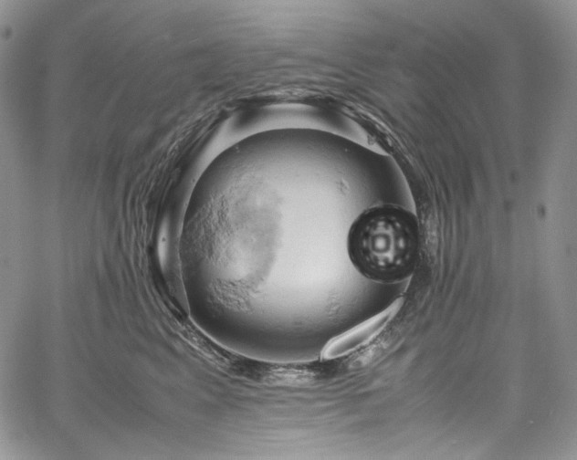 X0000061740617200512021444