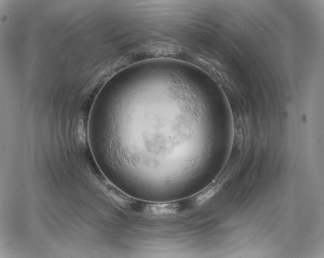X0000061740622200512021443