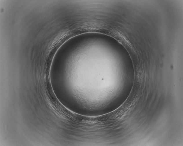X0000061740635200512021443
