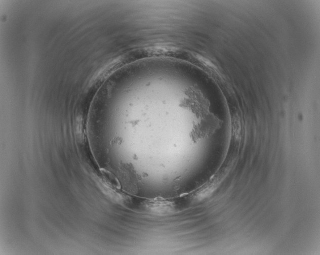X0000061740670200512021443