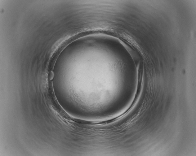 X0000061740676200512021443