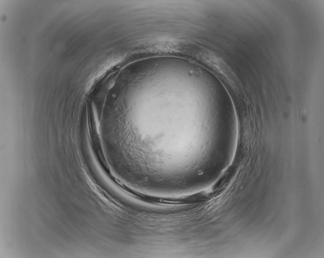 X0000061740677200512021443