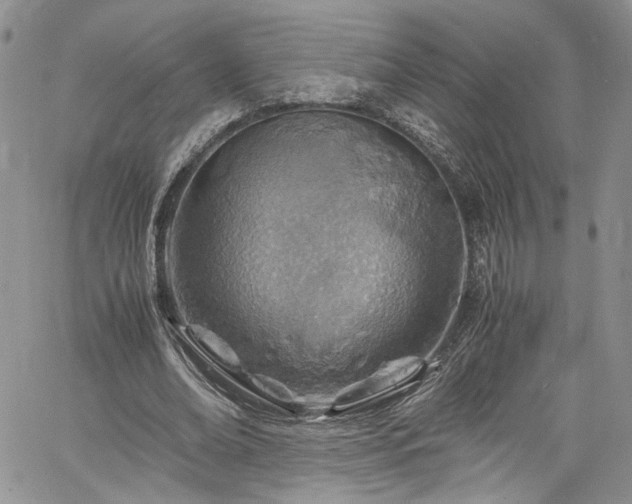 X0000061740678200512021443