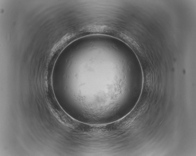 X0000061740682200512021443