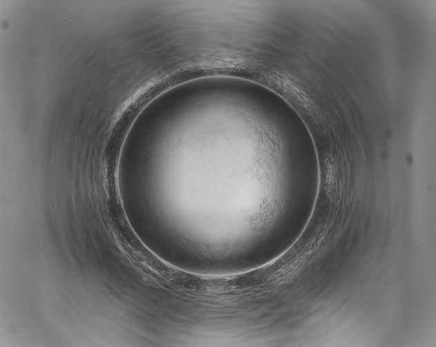 X0000061740684200512021442
