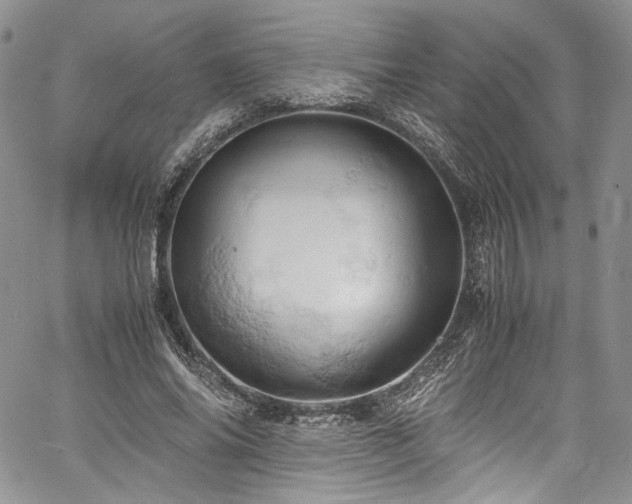 X0000061740686200512021442