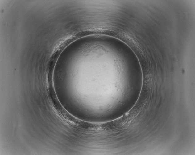 X0000061740688200512021442
