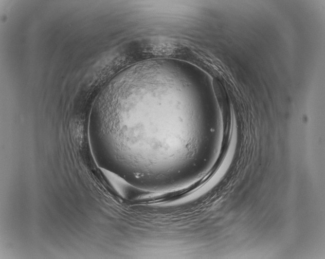 X0000061740697200512021442