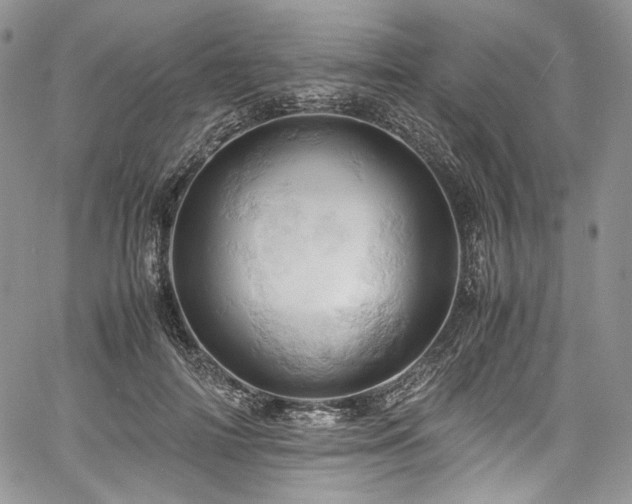 X0000061740698200512021442