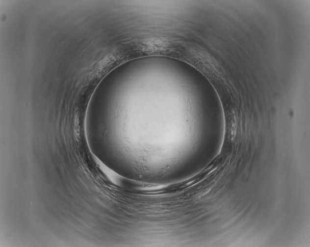 X0000061740700200512021442