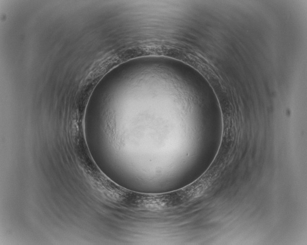 X0000061740702200512021442