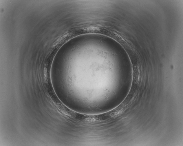X0000061740704200512021442