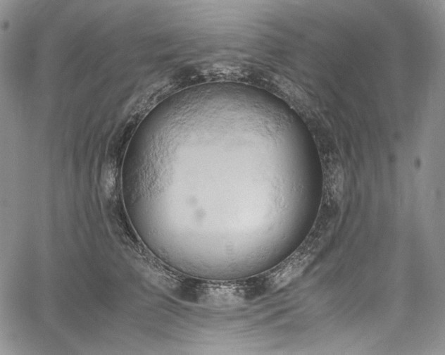 X0000061740709200512021442
