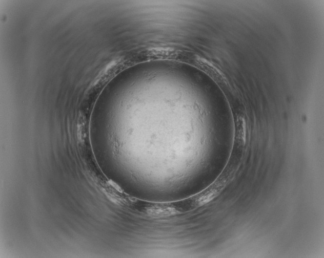 X0000061740712200512021442
