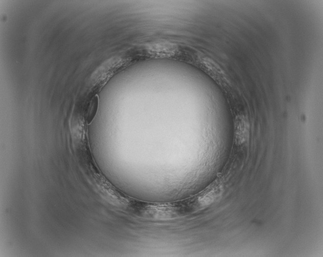 X0000061740713200512021442