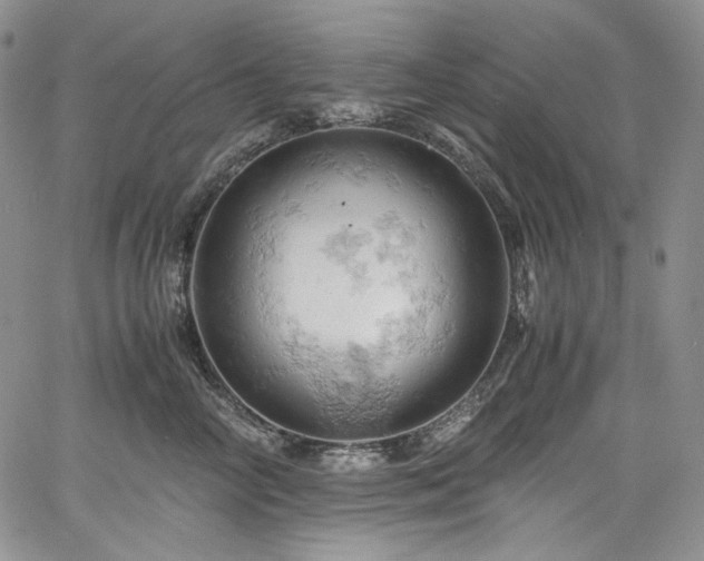 X0000061740714200512021442
