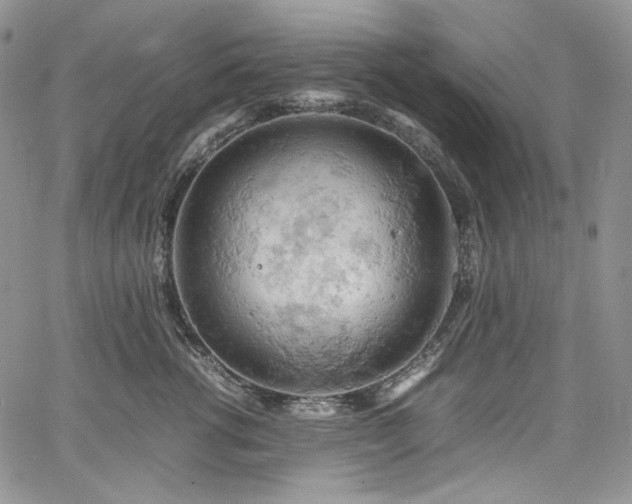 X0000061740762200512021442