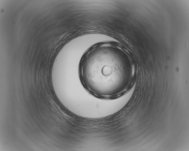 X0000061740764200512021442