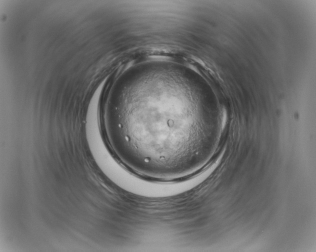 X0000061740766200512021442