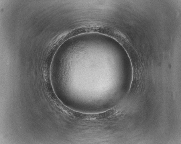 X0000061740773200512021441