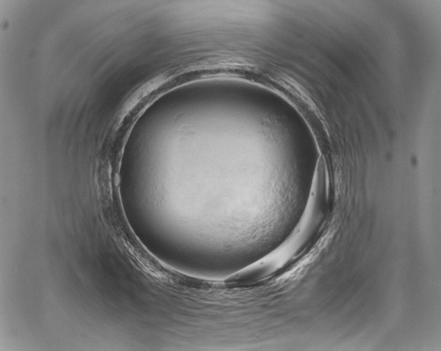 X0000061740781200512021441