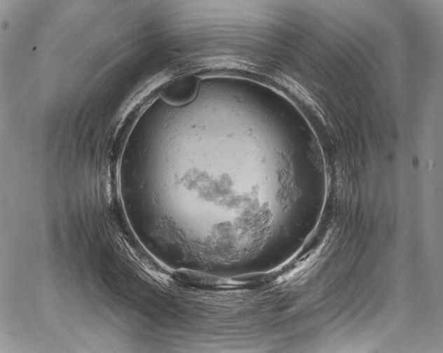 X0000061740782200512021441