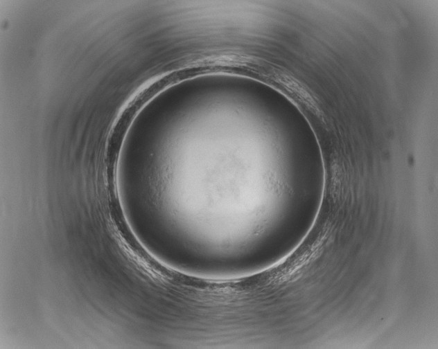 X0000061740784200512021441