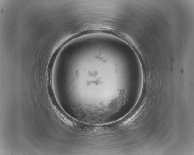 X0000061740787200512021441