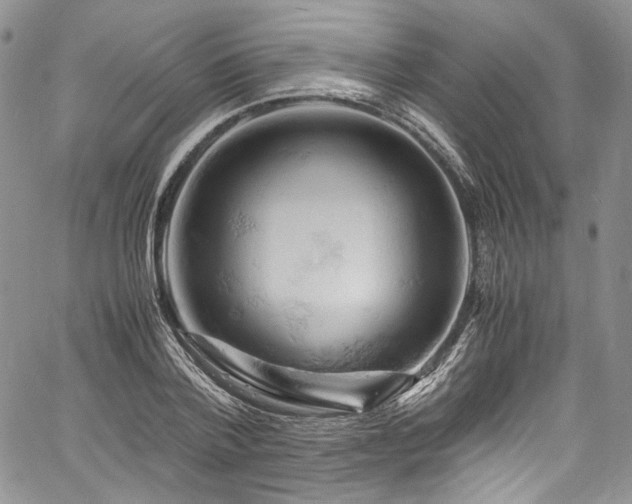X0000061740788200512021441