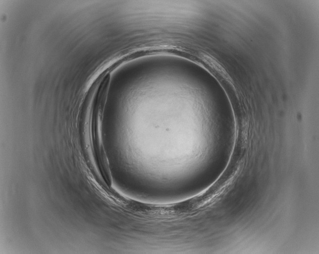 X0000061740789200512021441
